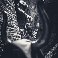 (c) Visions Of The Abyss