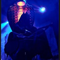 (c) Metallic TV