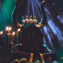 (c) Varnalesa