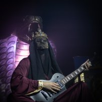 (c) Necroshorns