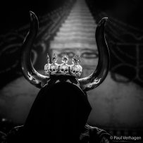 (c) Paul Verhagen